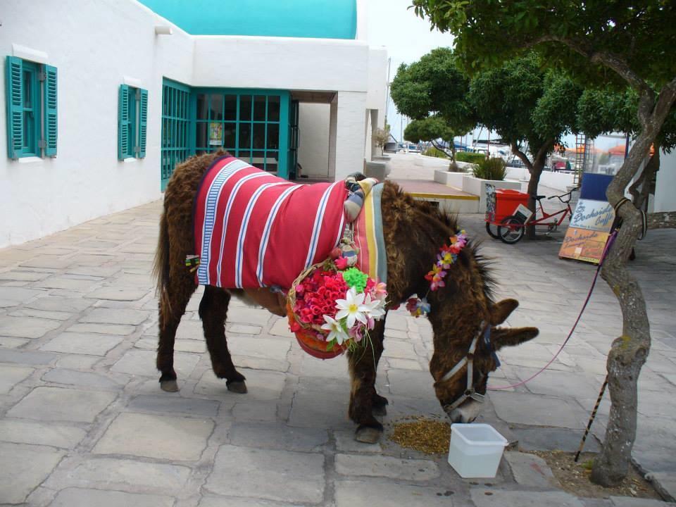 Mykonos Holidays @ Club Mykonos Langebaan Eksteriør billede